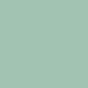 Saucony Courageous Shoes - Light Green/Tan